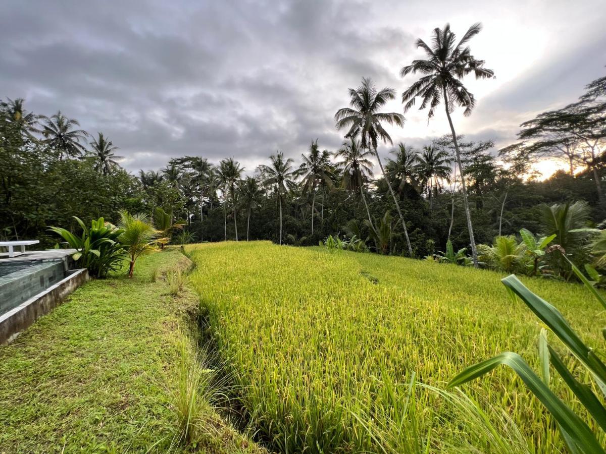 Uma Mupu Retreat Villa Payangan Buitenkant foto