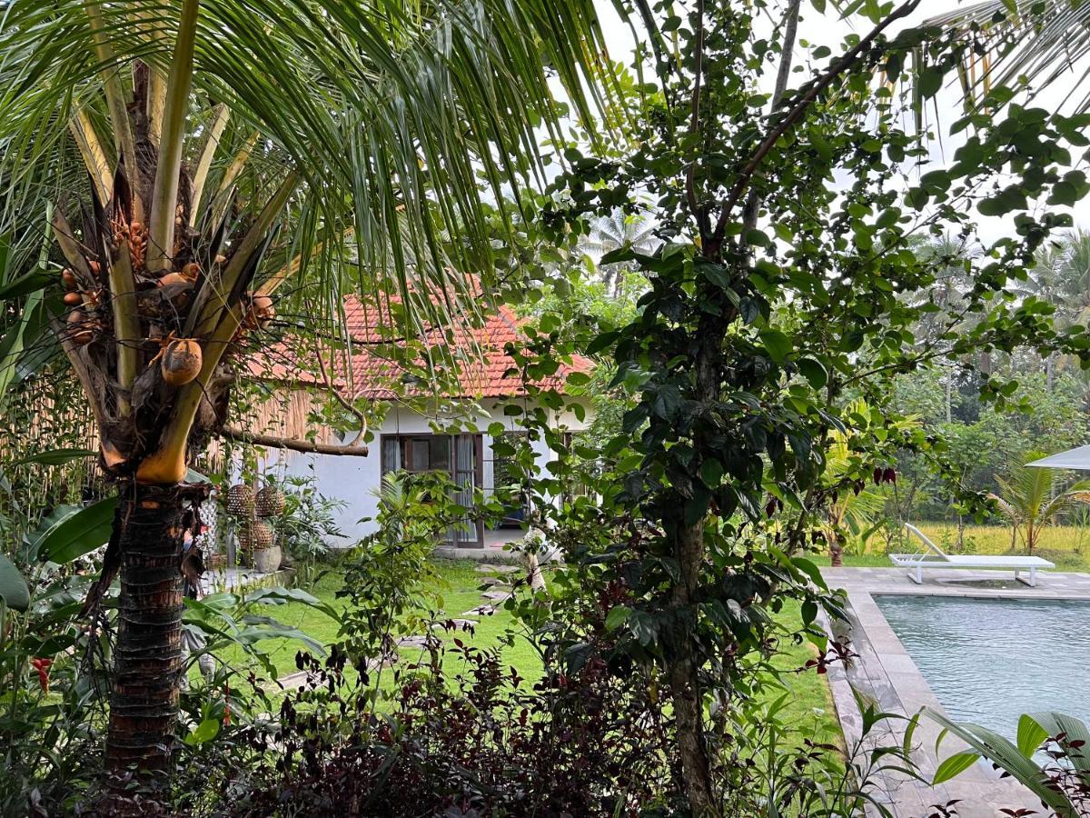 Uma Mupu Retreat Villa Payangan Buitenkant foto