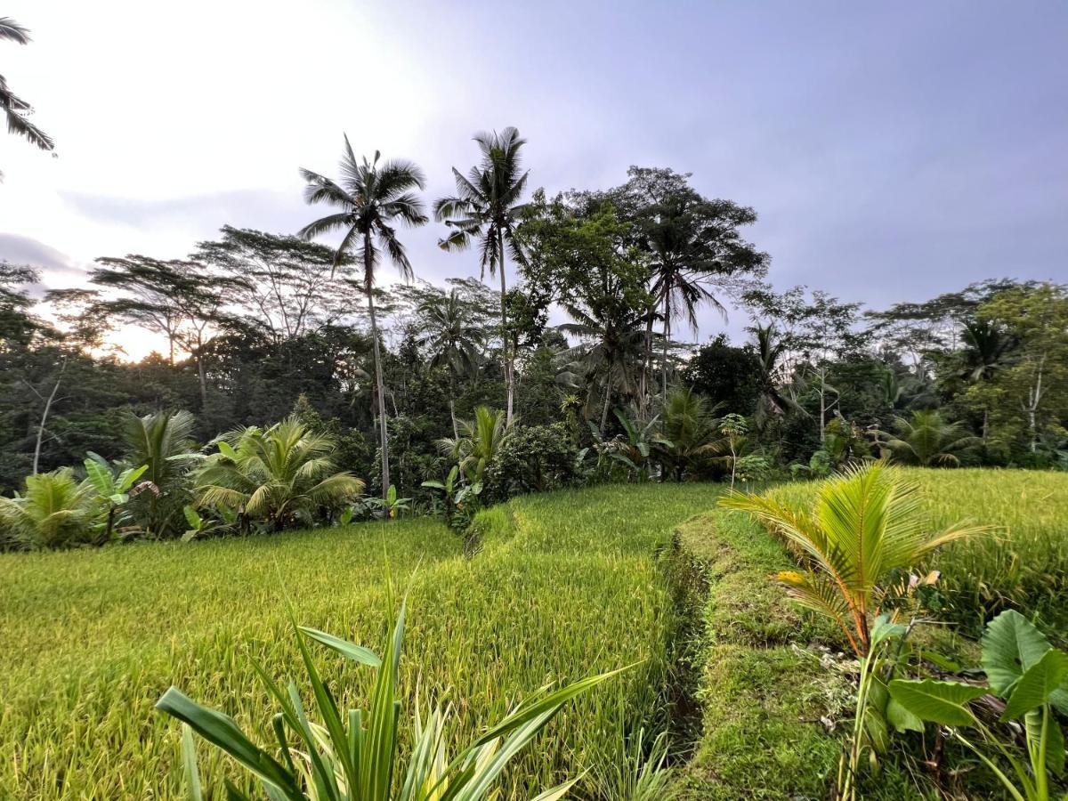 Uma Mupu Retreat Villa Payangan Buitenkant foto